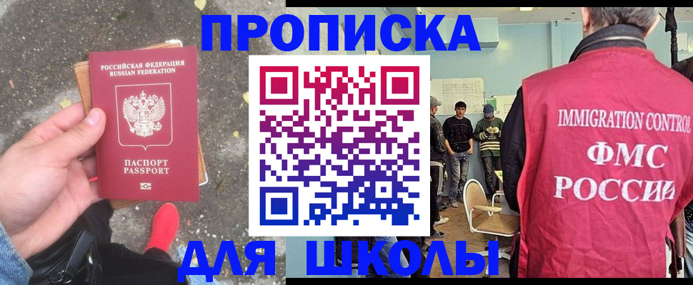 где прописаться в Пионерском